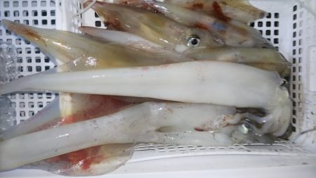 第二龍勢丸 釣果