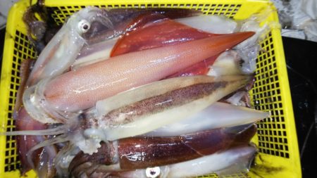 第二龍勢丸 釣果