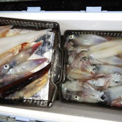 第二龍勢丸 釣果