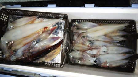 第二龍勢丸 釣果