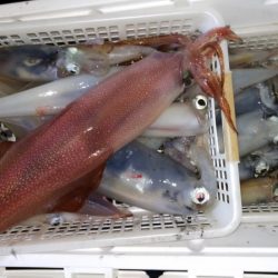 第二龍勢丸 釣果