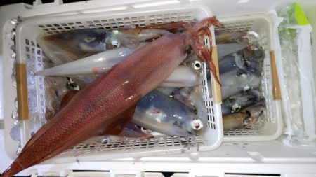 第二龍勢丸 釣果