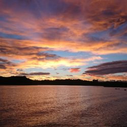 遊漁船　家入 釣果