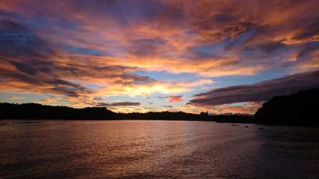 遊漁船　家入 釣果