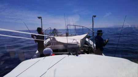 第二龍勢丸 釣果