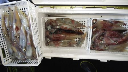 第二龍勢丸 釣果