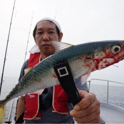 Chase（チェイス） 釣果