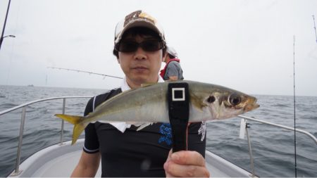 Chase（チェイス） 釣果