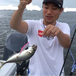 うさぎ丸 釣果