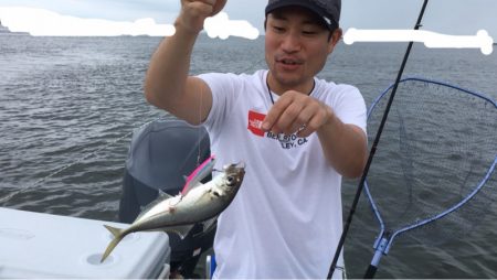うさぎ丸 釣果