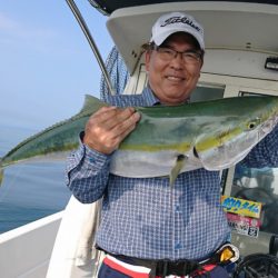 遊漁船 家入 釣果