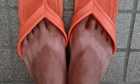 遊漁船 家入 釣果