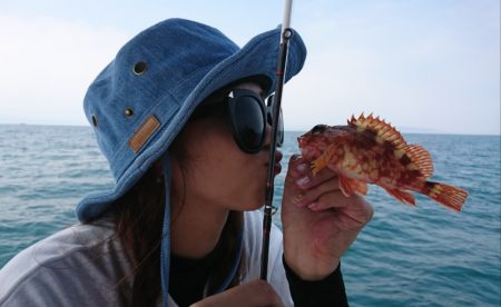 遊漁船 家入 釣果