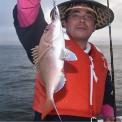 渡船屋たにぐち 釣果