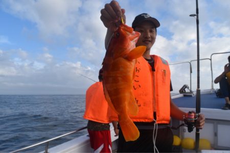 渡船屋たにぐち 釣果
