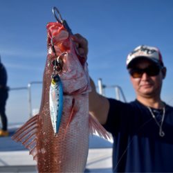 渡船屋たにぐち 釣果