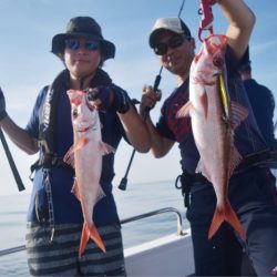 渡船屋たにぐち 釣果