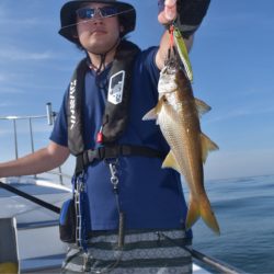 渡船屋たにぐち 釣果
