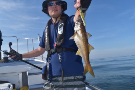 渡船屋たにぐち 釣果