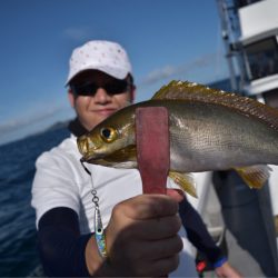 渡船屋たにぐち 釣果