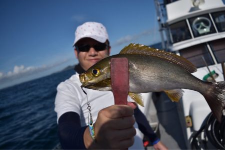 渡船屋たにぐち 釣果