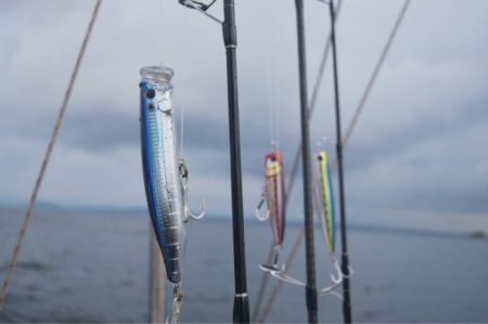 渡船屋たにぐち 釣果