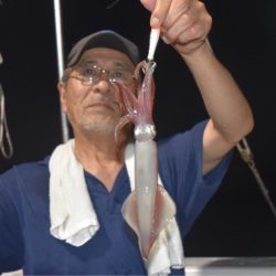 渡船屋たにぐち 釣果