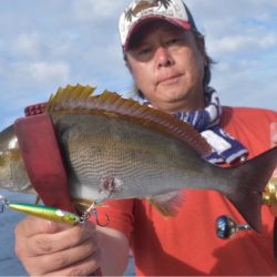 渡船屋たにぐち 釣果