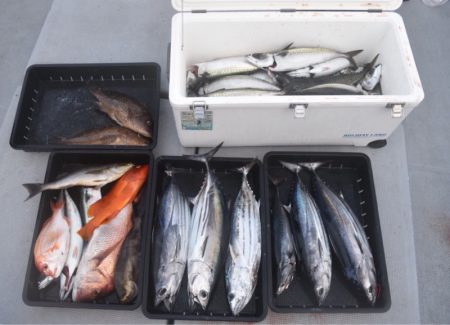 渡船屋たにぐち 釣果