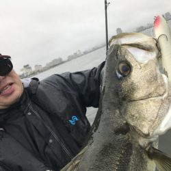 アマテラス 釣果