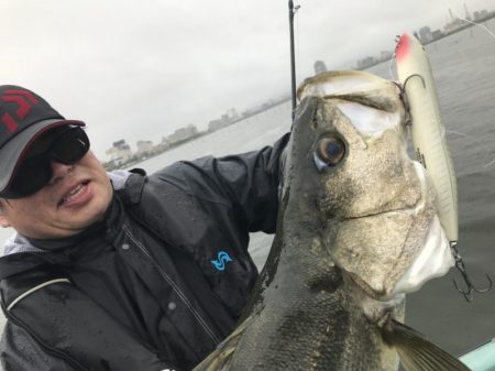 アマテラス 釣果