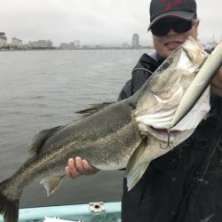 アマテラス 釣果