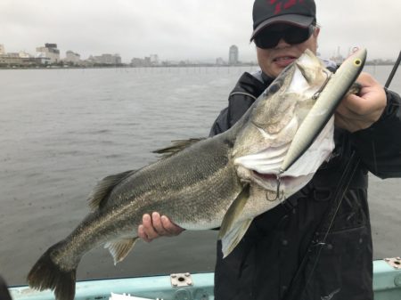 アマテラス 釣果