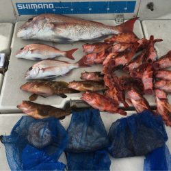 末広丸(熊本) 釣果