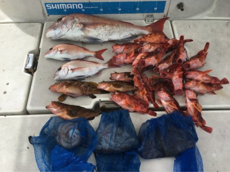 末広丸(熊本) 釣果