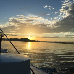 末広丸(熊本) 釣果