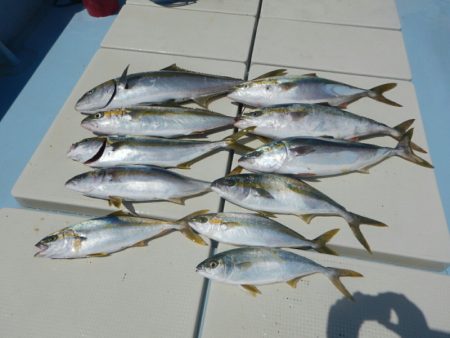 きずなまりん 釣果