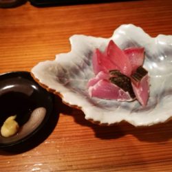 龍神丸(鹿児島) 釣果