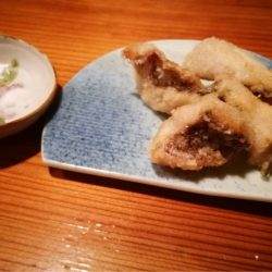 龍神丸(鹿児島) 釣果