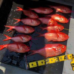 ＴＡＲＯＭＡＲＵ 釣果