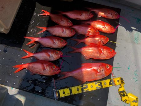 ＴＡＲＯＭＡＲＵ 釣果