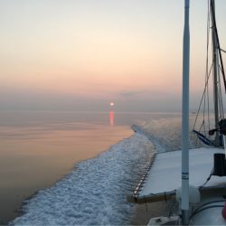 末広丸(熊本) 釣果