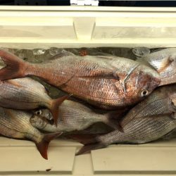 第二八坂丸 釣果