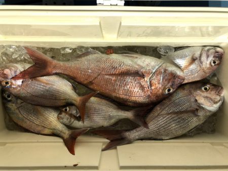 第二八坂丸 釣果