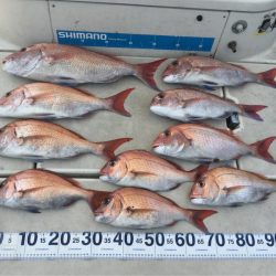 末広丸(熊本) 釣果