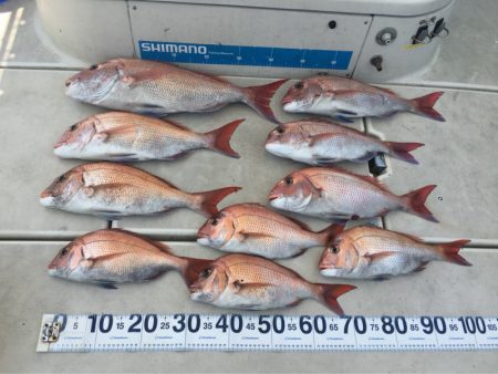 末広丸(熊本) 釣果