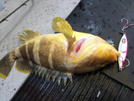 第二龍勢丸 釣果