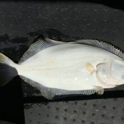 第二龍勢丸 釣果