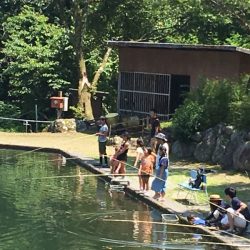 白州トラウトフィッシングエリア　シルフ 釣果