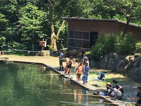 白州トラウトフィッシングエリア　シルフ 釣果